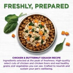 Wellness Bowl Boosters Freshly Frozen Fresh Chicken & Butternut Squash Dog Food -Cozy Paws 511846 PT2. AC SS1800 V1660707207