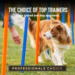 Cloud Star Crunchy Tricky Trainers Cheddar Flavor Dog Treats -Cozy Paws 51298 PT4. AC SS1800 V1624920789