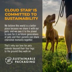 Cloud Star Crunchy Tricky Trainers Cheddar Flavor Dog Treats -Cozy Paws 51298 PT5. AC SS1800 V1624918670