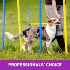 Cloud Star Crunchy Tricky Trainers Liver Flavor Dog Treats -Cozy Paws 51299 PT6. AC SS1800 V1624918103