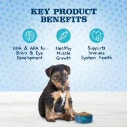 Blue Buffalo Baby Blue Healthy Growth Formula Natural Chicken & Brown Rice Recipe Puppy Dry Food & Blue Buffalo Baby Blue Healthy Growth Formula Natural Chicken & Vegetable Recipe Puppy Wet Food, 12.5-oz Cans, Case Of 12 -Cozy Paws 514998 PT4. AC SS1800 V1649338588