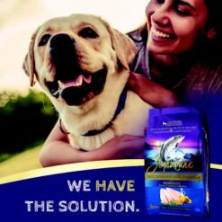 Zignature Limited Ingredient Formula Trout & Salmon Meal Dry Dog Food -Cozy Paws 51580 PT6. AC SS1800 V1660847428