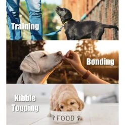 Whole Life Just One Ingredient Pure Salmon Fillet Freeze-Dried Dog Treats -Cozy Paws 51685 PT2. AC SS1800 V1673978674