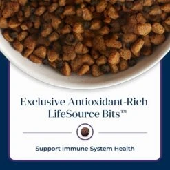 Blue Buffalo Basics Skin & Stomach Care Turkey & Potato Recipe Senior Dry Dog Food -Cozy Paws 51892 PT7. AC SS1800 V1646280691