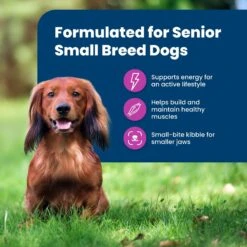 Blue Buffalo Life Protection Formula Small Breed Senior Chicken & Brown Rice Recipe Dry Dog Food -Cozy Paws 51901 PT3. AC SS1800 V1701982095