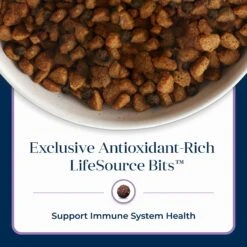 Blue Buffalo Basics Skin & Stomach Care Turkey & Potato Recipe Small Breed Adult Dry Dog Food -Cozy Paws 51915 PT7. AC SS1800 V1646266287