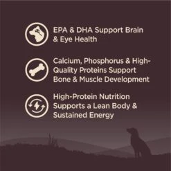 Wellness CORE Grain-Free Puppy Chicken & Turkey Recipe Dry Dog Food -Cozy Paws 52018 PT2. AC SS1800 V1677613577