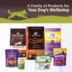 Wellness CORE Grain-Free Weight Management Formula Canned Dog Food -Cozy Paws 52029 PT4. AC SS1800 V1625841360