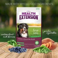 Health Extension Large Bites Chicken & Brown Rice Recipe Dry Dog Food -Cozy Paws 523214 PT5. AC SS1800 V1652770283
