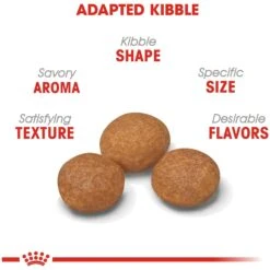 Royal Canin Size Health Nutrition X-Small Adult 8+ Dry Dog Food -Cozy Paws 52396 PT3. AC SS1800 V1697213407