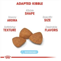 Royal Canin Size Health Nutrition X-Small Aging 12+ Dry Dog Food -Cozy Paws 52398 PT2. AC SS1800 V1697216176