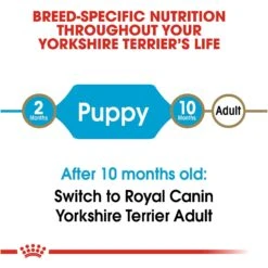 Royal Canin Breed Health Nutrition Yorkshire Terrier Puppy Dry Dog Food -Cozy Paws 52402 PT6. AC SS1800 V1697216753