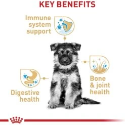 Royal Canin Breed Health Nutrition German Shepherd Puppy Dry Dog Food -Cozy Paws 52513 PT4. AC SS1800 V1697212337