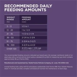 Purina ONE SmartBlend Vibrant Maturity 7+ Formula Adult Premium Dry Dog Food -Cozy Paws 52544 PT8. AC SS1800 V1676317077