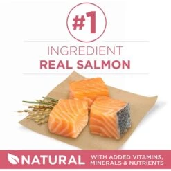 Purina ONE +Plus Adult Skin & Coat Formula Dry Dog Food -Cozy Paws 52545 PT2. AC SS1800 V1657658481