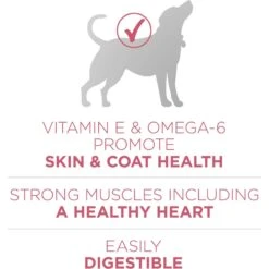 Purina ONE +Plus Adult Skin & Coat Formula Dry Dog Food -Cozy Paws 52545 PT3. AC SS1800 V1649690191