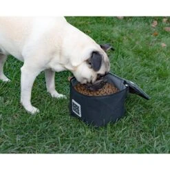 Mobile Dog Gear Insulated Food Carriers Dog Car Accessories -Cozy Paws 525462 PT2. AC SS1800 V1650400617