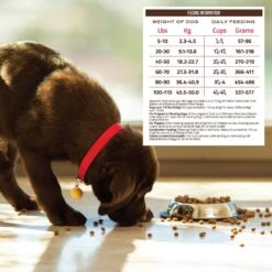 Holistic Select Adult & Puppy Grain-Free Salmon, Anchovy & Sardine Meal Recipe Dry Dog Food -Cozy Paws 52626 PT5. AC SS1800 V1660574180