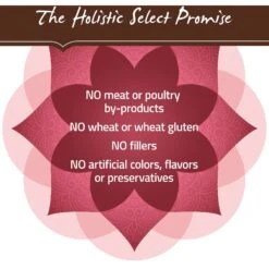 Holistic Select Adult & Puppy Grain-Free Salmon, Anchovy & Sardine Meal Recipe Dry Dog Food -Cozy Paws 52626 PT6. AC SS1800 V1660706870