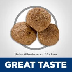 Hill's Science Diet Adult Lamb Meal & Brown Rice Recipe Dry Dog Food -Cozy Paws 52687 PT2. AC SS1800 V1598150475