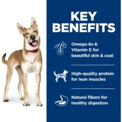 Hill's Science Diet Adult Lamb Meal & Brown Rice Recipe Dry Dog Food -Cozy Paws 52687 PT4. AC SS1800 V1598157402