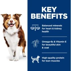 Hill's Science Diet Adult 7+ Chicken Meal, Rice & Barley Recipe Dry Dog Food -Cozy Paws 52712 PT5. AC SS1800 V1598142986