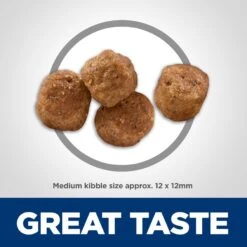 Hill's Science Diet Adult 7+ Chicken Meal, Rice & Barley Recipe Dry Dog Food -Cozy Paws 52712 PT6. AC SS1800 V1598151374