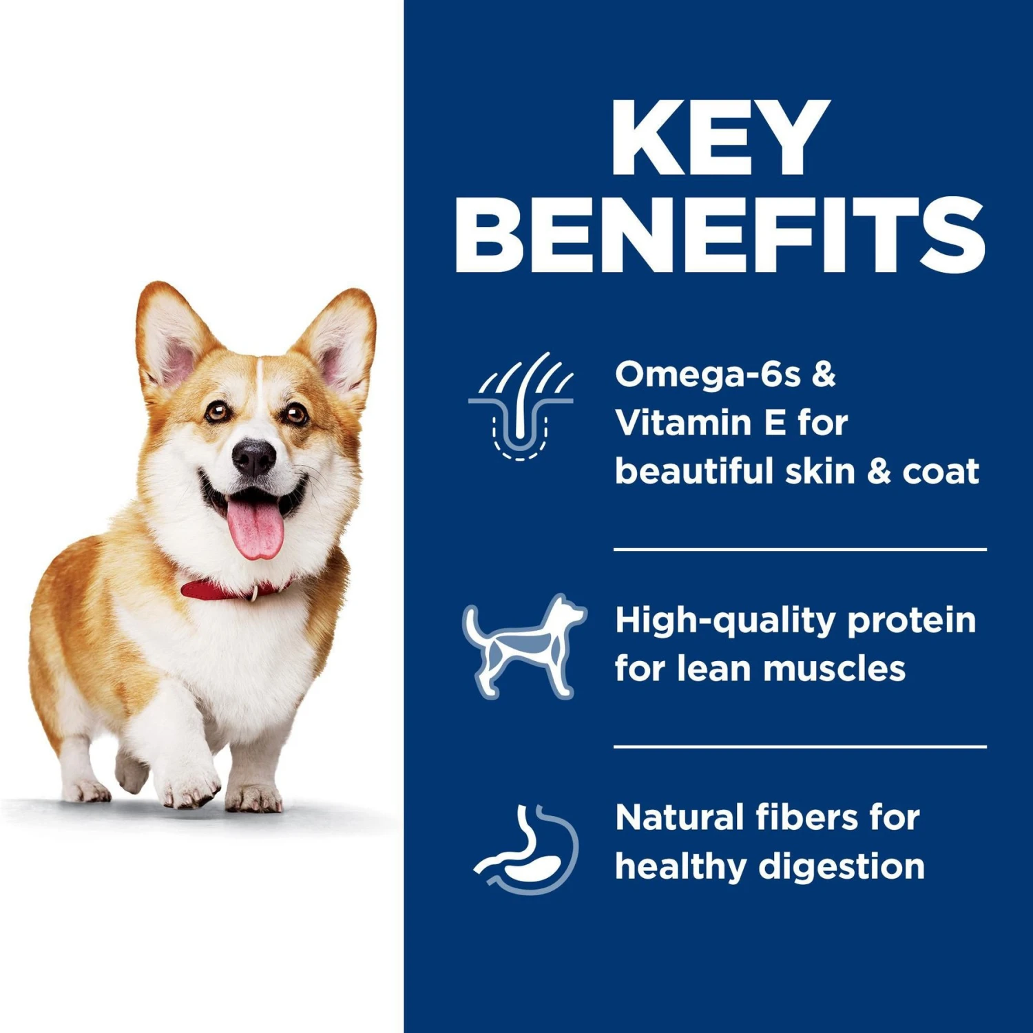 Hill's Science Diet Adult Small Bites Lamb Meal & Brown Rice Recipe Dry Dog Food 7 Hill's Science Diet Adult Small Bites Lamb Meal & Brown Rice Recipe Dry Dog Food - Image 5