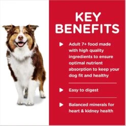 Hill's Science Diet Adult 7+ Turkey & Barley Entree Canned Dog Food, 13-oz, Case Of 12 -Cozy Paws 52800 PT3. AC SS1800 V1598144763