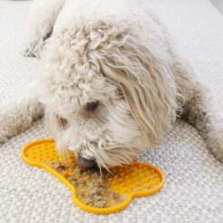 Earthborn Holistic Toby's Turkey Dinner Grain-Free Natural Moist Dog Food -Cozy Paws 52819 PT7. AC SS1800 V1633472800