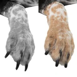 Bousnic Super Low Noise Dog & Cat Nail Grinder, Blue -Cozy Paws 530094 PT3. AC SS1800 V1652467636