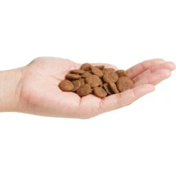 Natural Balance Limited Ingredient Reserve Grain-Free Duck & Potato Recipe Dry Dog Food -Cozy Paws 537278 PT2. AC SS1800 V1652739090