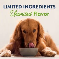 Natural Balance Limited Ingredient Vegetarian Recipe Dry Dog Food -Cozy Paws 537302 PT7. AC SS1800 V1652738785