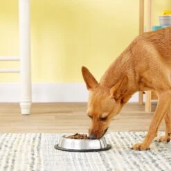 Loving Pets Non-Skid Stainless Steel Dog & Cat Bowl -Cozy Paws 54395 PT1. AC SS1800 V1545257328