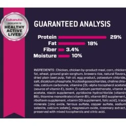 Eukanuba Puppy Medium Breed Dry Dog Food -Cozy Paws 552334 PT6. AC SS1800 V1657659455