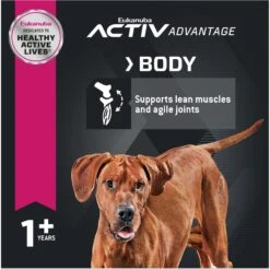 Eukanuba Adult Large Breed Lamb 1st Ingredient Dry Dog Food -Cozy Paws 552366 PT4. AC SS1800 V1677085126