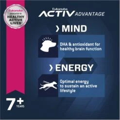 Eukanuba Senior Medium Breed Dry Dog Food -Cozy Paws 552510 PT3. AC SS1800 V1677085850