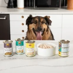Weruva Cirque De La Mer With Tuna & Veggies In Pumpkin Soup Grain-Free Canned Dog Food -Cozy Paws 55584 PT6. AC SS1800 V1641838003