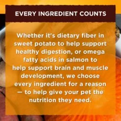 Nature's Recipe Ground Chicken, Rice & Barley Recipe Wet Dog Food -Cozy Paws 56217 PT5. AC SS1800 V1676296839