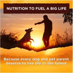 Nature's Recipe Ground Chicken, Rice & Barley Recipe Wet Dog Food -Cozy Paws 56217 PT6. AC SS1800 V1676299343