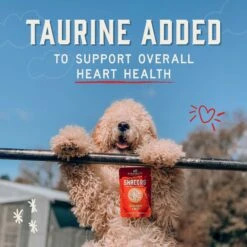 Stella & Chewy's Stella’s Shredrs Grass Fed & Cage Free Beef & Chicken Recipe In Broth Adult Wet Dog Food, 2.8-oz Pouch, Case Of 24 -Cozy Paws 565214 PT7. AC SS1800 V1657659688