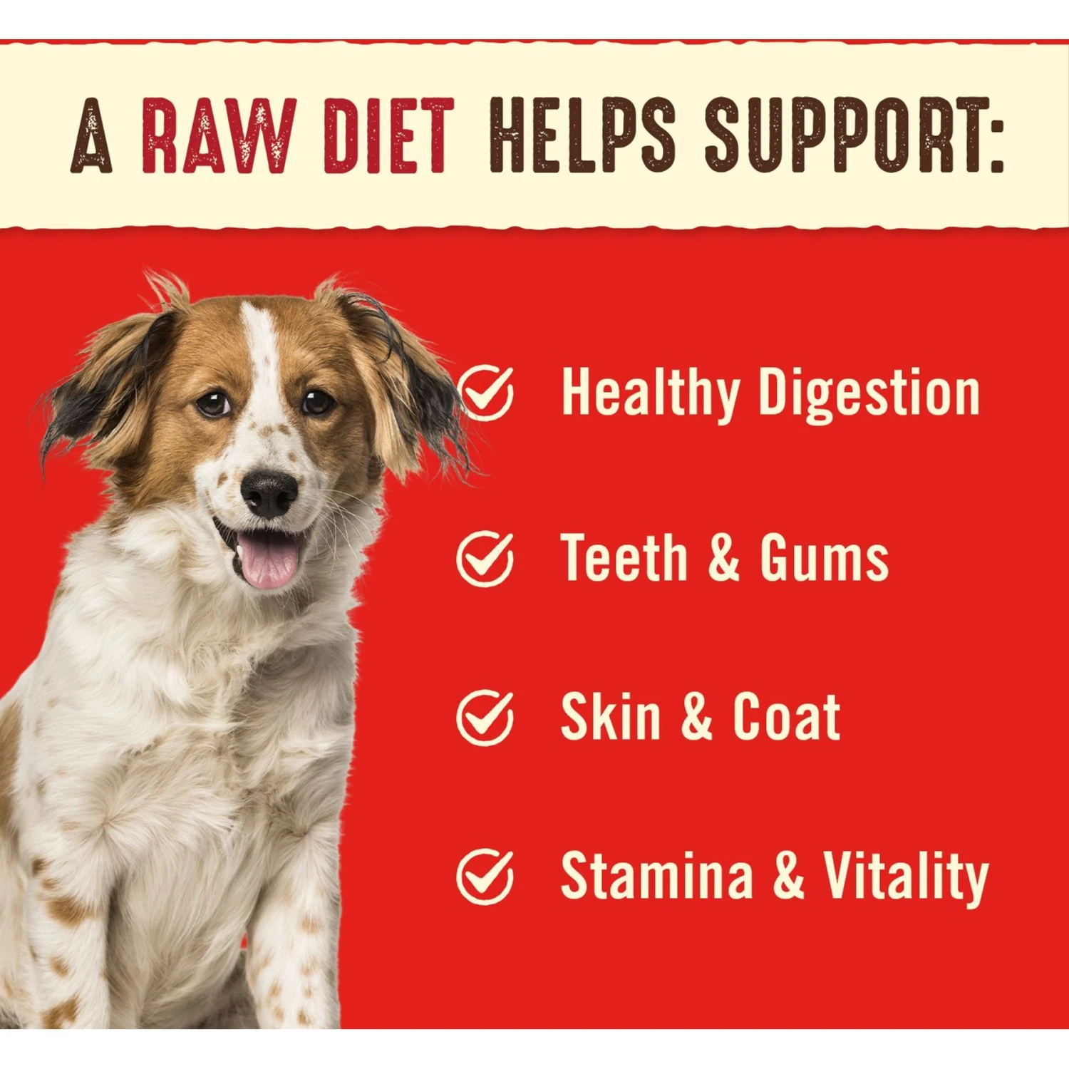 Stella & Chewy's Dandy Lamb Dinner Patties Freeze-Dried Raw Dog Food & Stella & Chewy's Remarkable Red Meat Recipe Dinner Patties Freeze-Dried Raw Dog Food 11 Stella & Chewy's Dandy Lamb Dinner Patties Freeze-Dried Raw Dog Food & Stella & Chewy's Remarkable Red Meat Recipe Dinner Patties Freeze-Dried Raw Dog Food - Image 9