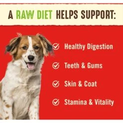 Stella & Chewy's Dandy Lamb Dinner Patties Freeze-Dried Raw Dog Food & Stella & Chewy's Duck Duck Goose Dinner Patties Freeze-Dried Raw Dog Food -Cozy Paws 567270 PT8. AC SS1800 V1657659924