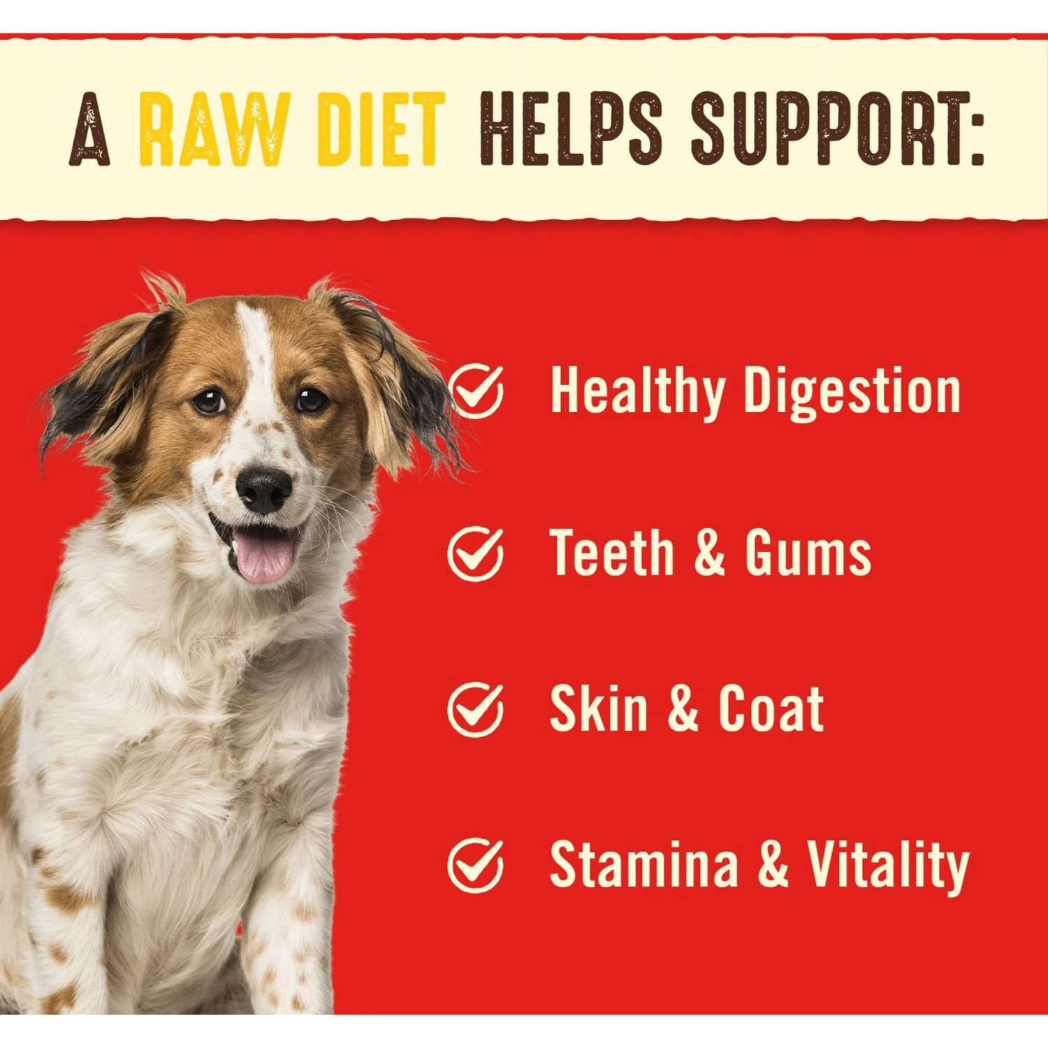 Stella & Chewy's Surf 'N Turf Dinner Patties Freeze-Dried Raw Dog Food & Stella & Chewy's Chewy's Chicken Dinner Patties Freeze-Dried Raw Dog Food 7 Stella & Chewy's Surf 'N Turf Dinner Patties Freeze-Dried Raw Dog Food & Stella & Chewy's Chewy's Chicken Dinner Patties Freeze-Dried Raw Dog Food - Image 5