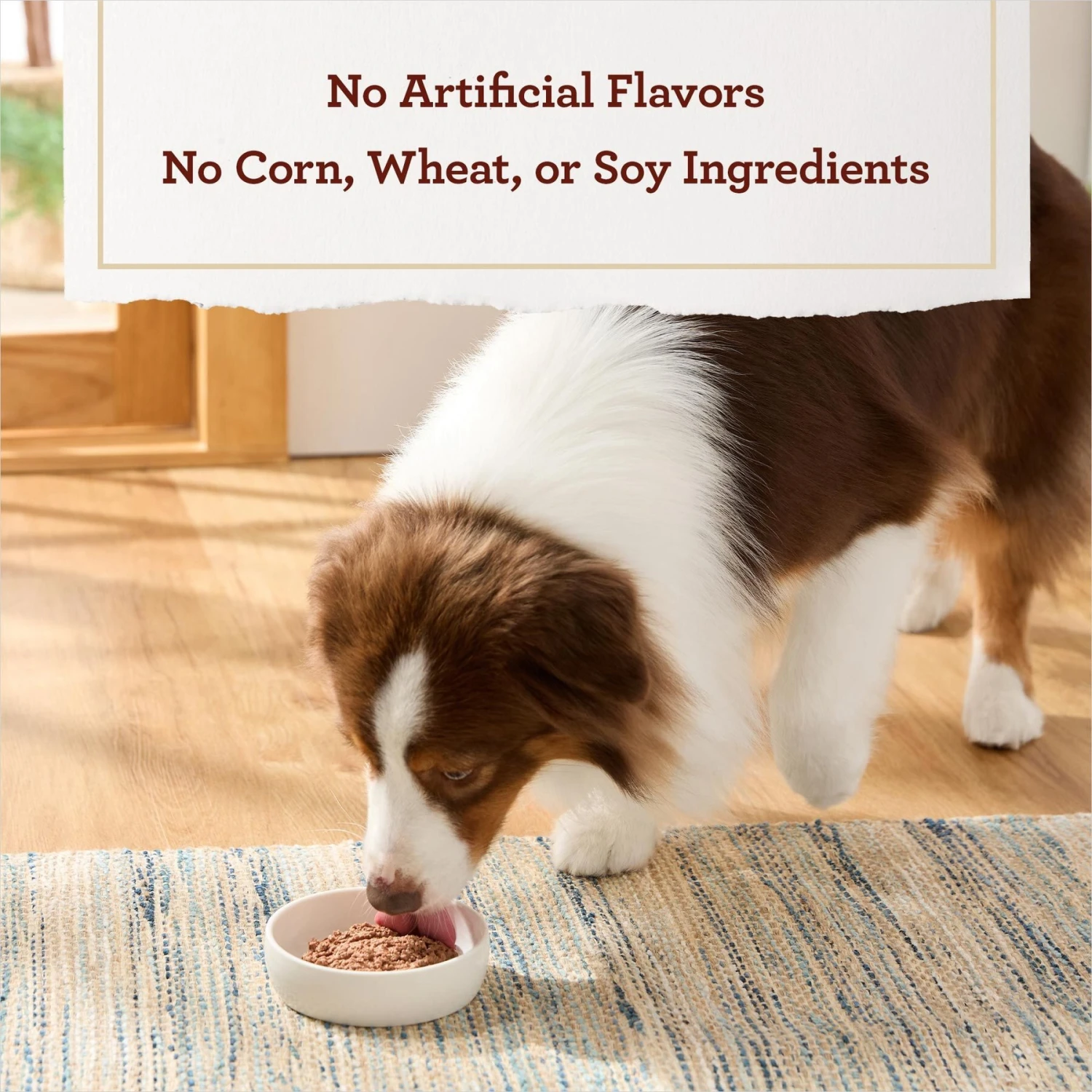 True Acre Foods Porterhouse Flavor Tender Loaf In Gravy, Wet Dog Food Cups 8 True Acre Foods Porterhouse Flavor Tender Loaf In Gravy, Wet Dog Food Cups - Image 6