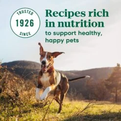 Nutro Max Puppy Farm-Raised Chicken Recipe Natural Dry Dog Food, 12-lb Bag -Cozy Paws 569574 PT6. AC SS1800 V1702666647