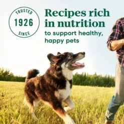 Nutro Max Large Breed Adult Farm-Raised Chicken Recipe Natural Dry Dog Food -Cozy Paws 569606 PT6. AC SS1800 V1702666589