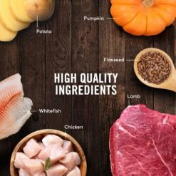 American Journey Lamb Recipe Grain-Free Canned Dog Food & American Journey Beef & Chicken Recipe Grain-Free Canned Dog Food -Cozy Paws 574638 PT8. AC SS1800 V1694611105