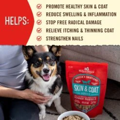 Stella & Chewy's Stella's Solutions Skin & Coat Boost Freeze-Dried Raw Grass-Fed Lamb & Wild-Caught Salmon Dinner Morsels Dog Food -Cozy Paws 576766 PT3. AC SS1800 V1680640107