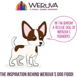 Weruva Best Fido Friend Fun Size Meals We Be Jammin' Wet Dog Food, 2.75-oz Cup, Case Of 12 -Cozy Paws 578254 PT5. AC SS1800 V1658187742